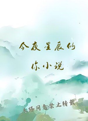 今夜星辰似你小说