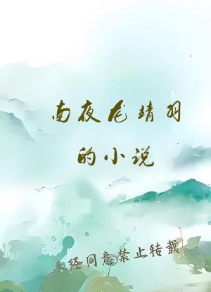 南夜龙靖羽的小说