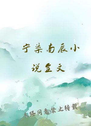 宁染南辰小说全文