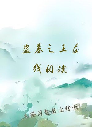 盗墓之王在线阅读