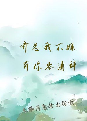 齐总我不嫌弃你岑清辞